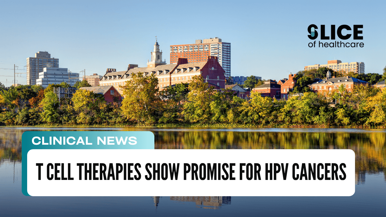 T Cell Therapies Show Promise for HPV Cancers